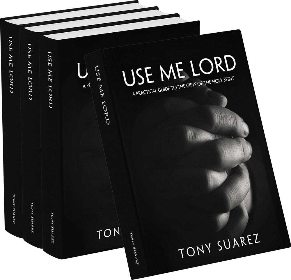 Use Me Lord Book